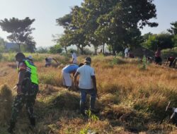 Babinsa Ramil 1624-03/Lewoleba Laksanakan Kegiatan Kerja Bakti Bersama Masyarakat.