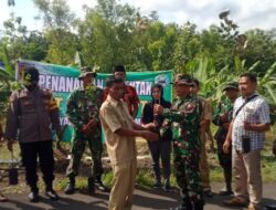 Koramil Kemusu Bersinergi Dengan Elemen Masyarakat Tanam Bibit Eucalyptus