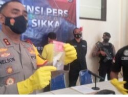 Polres Sikka Berhasil Mengamankan Pengedar Sabu-Sabu Disembunyikan Dalam Kutang