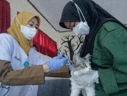 6 Orang Meninggal Dunia Tertimbun Longsor di Kabupaten Kotabaru