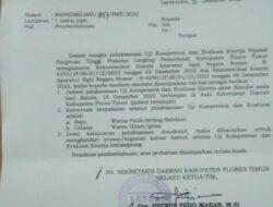 Menghitung Langkah Politik “otakatik” Dibalik Jobfit ASN Pemkab Flotim