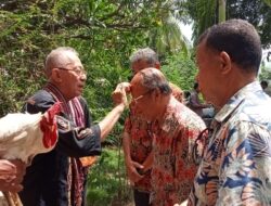 Sebelum Untuk Maju Dalam Pilkada Flotim 2024.Lukman Riberu Bersama Wakil Minta Restu Dari Raja Larantuka