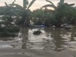 Seorang Warga Meninggal Dunia Akibat Banjir Bandang di Semarang