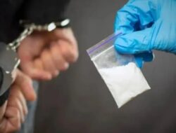 Seorang Ibu Ditangkap Usai Jadi Pemasok Sabu