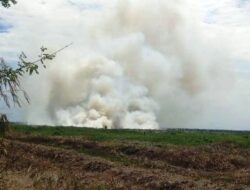 Sebanyak 6,3 Hektar Lahan Terbakar di Kalimantan Selatan