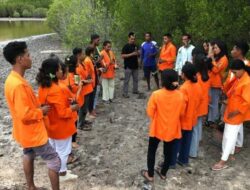 KKN di Desa Lewomada Sikka, Mahasiswa Unipa Tanam Ratusan Bibit Mangrove di Patai Hia