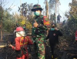 Tim Satgas Karhutla Berhasil Padamkan Kebakaran di Tebo