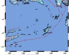 Gempa Beruntun Landa Tanimbar, Tidak Ada Kerusakan
