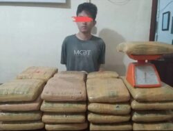 Kurir Pembawa 35 Kilogram Ganja Berhasil Diamankan di Padangsidimpuan