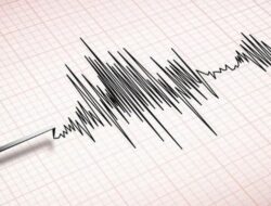 Gempa Magnitudo 3,4 Guncang Wilayah Teluk Wandoma Hari Ini
