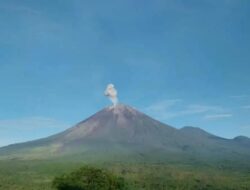 Waspada, Gunung Semeru Kembali Erupsi Setinggi 800 Meter