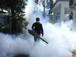 Kemenkes Laporkan Laju Kasus Dengue di Indonesia Meningkat 2x Lipat di Maret 2024
