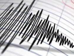 Gempa Magnitudo 3,5 Guncang Wilayah Maluku Hari Ini