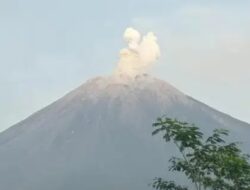 Abu Vulkanik Terlihat Hingga 1.000 Meter Akibat Letusan Gunung Semeru