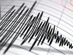 Gempa Magnitudo 4,3 Guncang Wilayah Kabupaten Maluku Barat Daya, Maluku