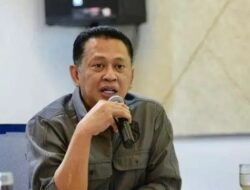 Ketua MPR Minta Polri Kejar KKB Pelaku Penembak Warga Puncak Jaya