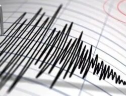 Gempa Magnitudo 3.2 Guncang Wilayah Teluk Bintuni, Papua Barat