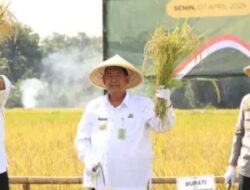 Kapolda DIY Bersama Gubernur DIY Hadiri Panen Raya Padi Serentak 14 Provinsi di Kulon Progo