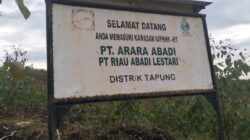 Diduga PT Arara Abadi Rekrut Penguasa dan Politikus Sebagai Tameng