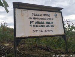Diduga PT Arara Abadi Rekrut Penguasa dan Politikus Sebagai Tameng