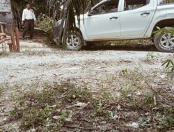 Terbukti PT. Arara Abadi Halangi Program Swasembada Pangan Riau, Kejati Diminta Bertindak Tegas