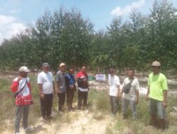 Kelompok Tani Swasembada Pangan Riau Mengadu ke Presiden RI: PT Arara Abadi Diduga Serobot Lahan dan Boikot Program Ketahanan Pangan