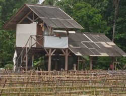 Misteri Melon 191 JUTA” : Modal Ludes 99%, Kerugian BUMDes Surabraja Desa Cibeureum, Cibeureum Jadi Sorotan Publik Kabupaten Kuningan Jawa Barat