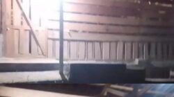 Diduga Raib Tanpa Kejelasan 31 Ekor Kambing Milik BUMDes Desa Datar, Cidahu Kabupaten Kuningan Jawa Barat