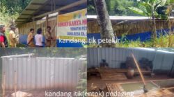 Pastikan Kandang Dan Jumlah Ternak ! Pemdes Cek Kandang Itik BUMDes Karya Mukti Sejahtera Desa Walahar Cageur, Luragung Kabupaten Kuningan Jawa Barat