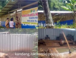 Pastikan Kandang Dan Jumlah Ternak ! Pemdes Cek Kandang Itik BUMDes Karya Mukti Sejahtera Desa Walahar Cageur, Luragung Kabupaten Kuningan Jawa Barat