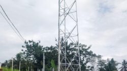 Pembangunan Menara BTS di Dusun Puhun Disinyalir Tanpa Koordinasi, Kades Ciputat Angkat Bicara