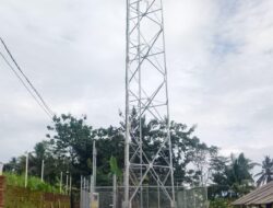 Pembangunan Menara BTS di Dusun Puhun Disinyalir Tanpa Koordinasi, Kades Ciputat Angkat Bicara