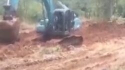 KEPALA DESA KARAYUNAN DIDUGA BUNGKAM, EDUKADI NEWS LAPORKAN GALIAN TANAH MERAH ILEGAL KE POLDA JABARg