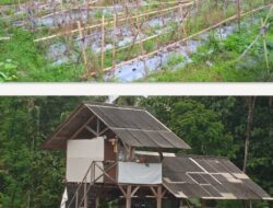 Kerugian BUMDes Surabraja Tembus 99%, Redaksi EDUKADINEWS Desak Inspektorat Kuningan Gelar Audit Investigatif