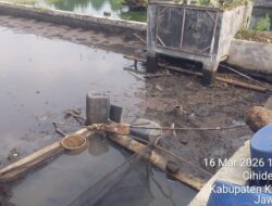 Plang Kolam Ikan BUMDes Cihideunghilir, Cidahu Dicopot Tanpa Penjelasan, Warga Pertanyakan Transparansi Kegiatan Usaha BUMDES Amanah