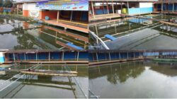 Menakar Akuntabilitas BUMDes ! Patut Pertanyakan Efisiensi Anggaran KETAPANG Desa Maniskidul, Jalaksana Kabupaten Kuningan Jawa Barat