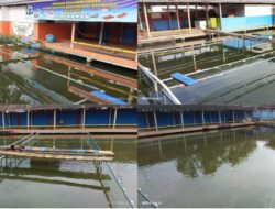 Menakar Akuntabilitas BUMDes ! Patut Pertanyakan Efisiensi Anggaran KETAPANG Desa Maniskidul, Jalaksana Kabupaten Kuningan Jawa Barat