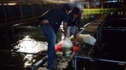 Diduga Bermasalah ! BUMDes Sejahtera Bersama Maniskidul Patut Diaudit Menyeluruh Inspektorat Kabupaten Kuningan Jawa Barat