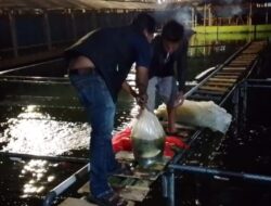 Diduga Bermasalah ! BUMDes Sejahtera Bersama Maniskidul Patut Diaudit Menyeluruh Inspektorat Kabupaten Kuningan Jawa Barat