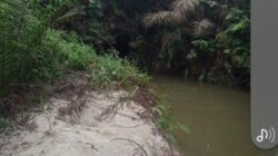 DUGAAN kuat Pengalihan Sistim.Tata Pemerintahan Wilayah Pemerintahan Kabupaten Kampar Di Rubah Menjadi Wilayah Kabupaten Siak Oleh PT.Arara Abadi.