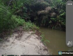 DUGAAN kuat Pengalihan Sistim.Tata Pemerintahan Wilayah Pemerintahan Kabupaten Kampar Di Rubah Menjadi Wilayah Kabupaten Siak Oleh PT.Arara Abadi.