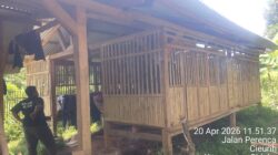 Ada Apa dengan Ketahanan Pangan Desa Cibulan? BUMDES Bangkit Sejahtera Merugi Puluhan Juta