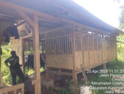 Ada Apa dengan Ketahanan Pangan Desa Cibulan? BUMDES Bangkit Sejahtera Merugi Puluhan Juta