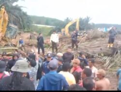 Kejati Riau Didesak Segera Seret PT Arara Abadi ke Meja Hijau Atas Dugaan Pengemplangan Pajak Triliunan Rupiah