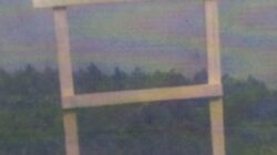 “SUB ORDONANSI ADMINISTRASI PEMERINTAHAN MENUAI MALADMINISTRASI di Kab Kampar dan Kab Siak.