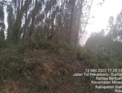 Dua Kasus Besar Sub Ordonansi dan Tak bayar pajak PT.Arara Abadi Upaya Hentikan.