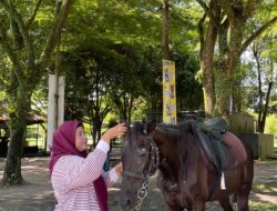 SATU-SATUNYA KEBUN BINATANG DI PROVINSI RIAU BUTUH PERHATIANJALAN MENUJU KEBUN BINATANG KASANG KULIM RUSAK & BERLUBANG