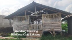 Program KETAPANG 2025 Desa Lebakwangi : Diduga Langgar Aturan Dan Alami Kerugian Ratusan Juta, BUMDesa Cipta Laksana Patut Diperiksa APH