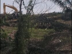 HTNI laporkan PT. Arara Abadi Gali Parit Hajah 1 KM Rusak Lokasi Bendungan Pengairan Cetak Sawah 1000 ha Dusun IV Plambayan Desa Kotagaro