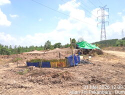 PT Arara Abadi Tertangkap Basah Eksekusi 180 ha KKS KUD Karya Baru/MKGR Dan Lapor Polres Kampar
